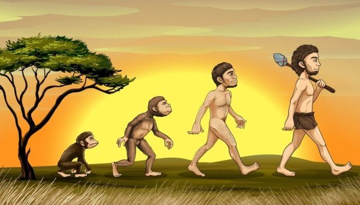 진화란 무엇인가?